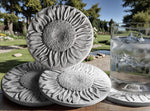 Sunflower Drink Coasters