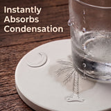 Palmetto And Moon Drink Coasters