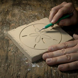 Sand Dollar Drink Coasters