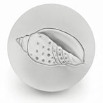 Junonia Shell Drink Coasters