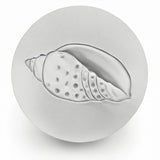 Junonia Shell Drink Coasters