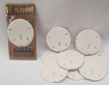 Sand Dollar Car Coaster