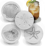 sea shell drink coasters