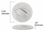 Junonia Shell Drink Coasters