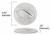 Junonia Shell Drink Coasters